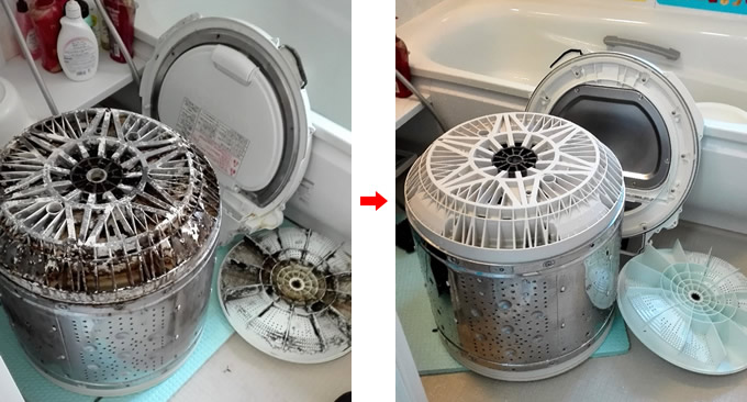 洗濯機内のカビ除去例